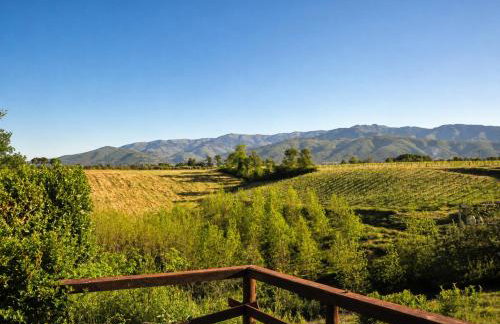 Agriturismo il Pino - Bioagricoltura - Foto 19