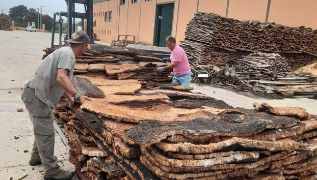 Vous verrez comment les planches de liège sont travaillées