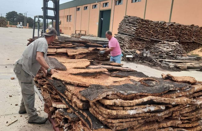 Visita a una fabbrica di sughero - Foto 4