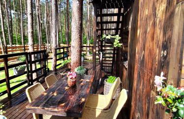 Domek lubiana180 SCANDI wśród drzew JACUZZI SAUNA KOMiNEK i TARAS na dachu jezioro Kaszuby Pieski tylko do 10kg za dodatkową opłatą - Foto 51