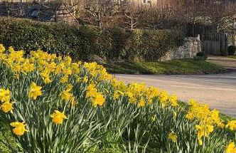 Pretty Cotswold Cottage with garden near Bibury - Foto 1