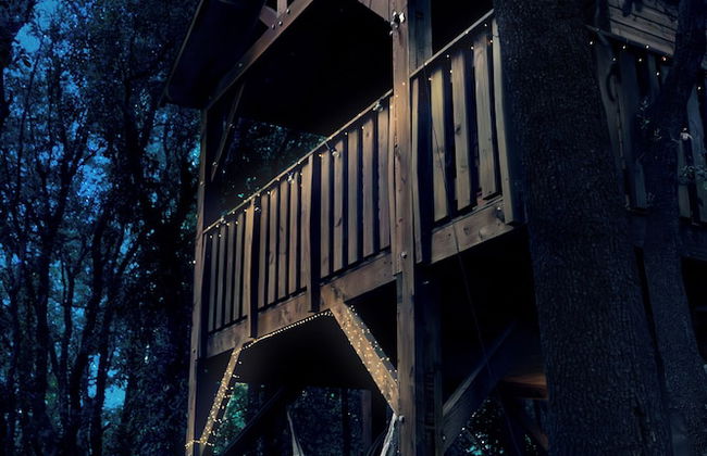 Le Mas Cabanids - Foto 9