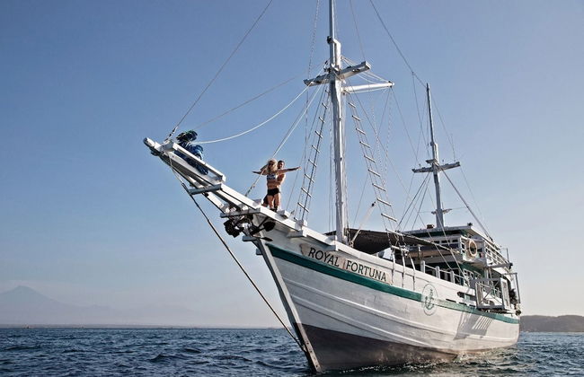 Royal Fortuna - Photo 1