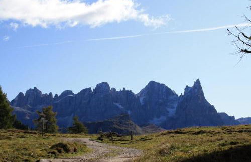 Agritur Darial - Photo 95