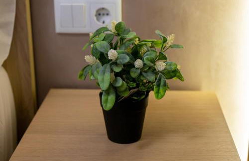 Apartamento Turistico Lux Center - Foto 10