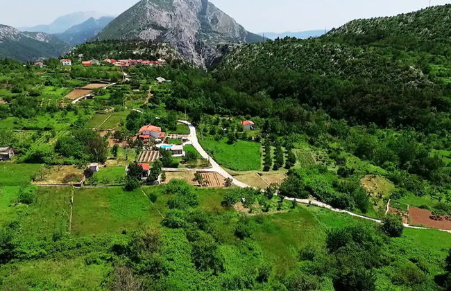 House of Green Experience - Foto 56