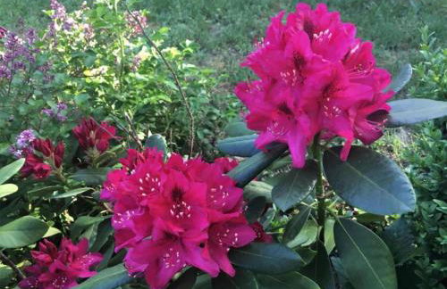 Havel Houseboat Serenity - Foto 23