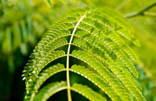 Holiday home Romana - Foto 7