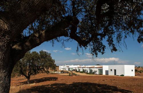 Agroturismo Xistos - Foto 25