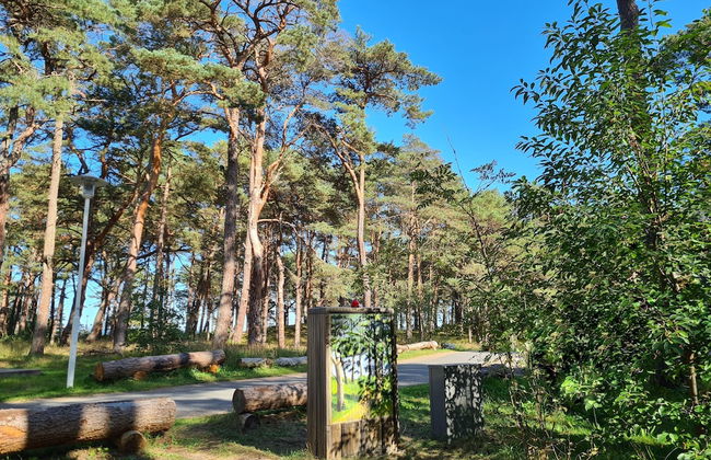 Strandhaus Rügen - Foto 37