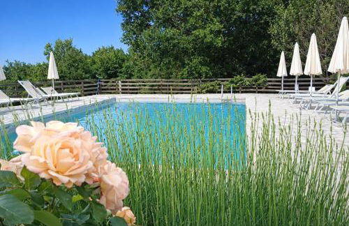 Fattoria Agriturismo Nerbona - Photo 14