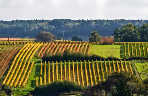 La Maison Bleue - Foto 27