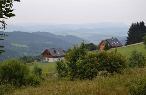 Orle Gniazdo - Foto 50