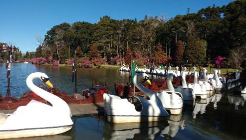 Apartamento Refúgio do Ipê em Gramado - Próximo ao Lago Negro - Foto 3