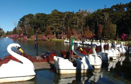 Apartamento Refúgio do Ipê em Gramado - Próximo ao Lago Negro - Photo 3
