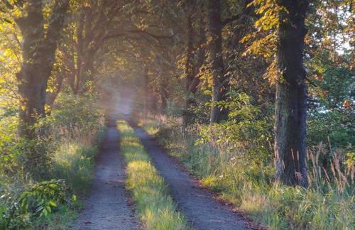 Gemütliche Ferienwohnung in Körba am See - Foto 12