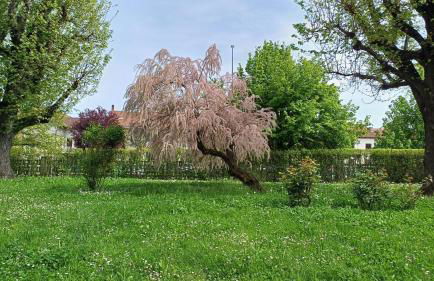 La Casa nel Parco - Foto 1