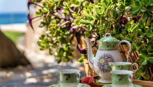 Malsova Studio - Foto 4