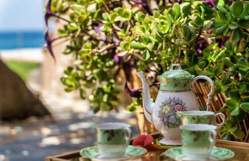 Malsova Studio - Foto 4