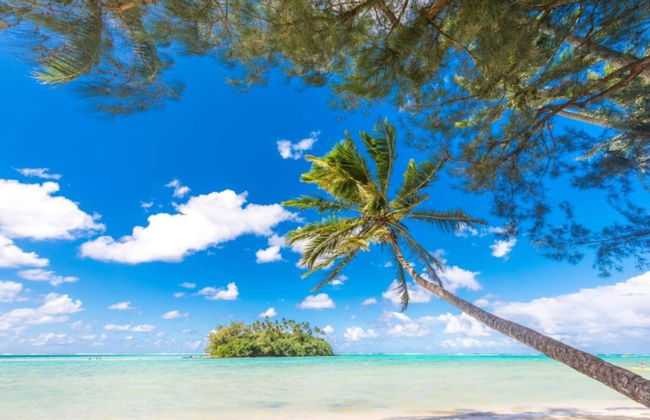 Cook Islands Holiday Villas Muri - Foto 13