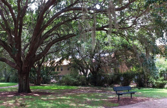 Family Friendly 4 Bedroom Close to Disney in Orlando Area 5126a - Photo 49