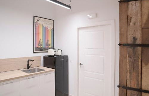 NUEVO Katu Kale Apartamentuak CENTRO HISTORICO - Foto 31