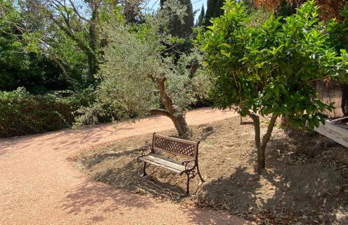 Lo studio di Podere Bellavista - Foto 13