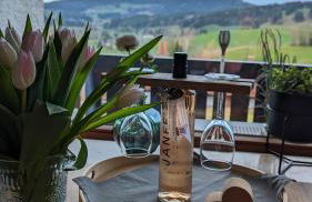 Ferienwohnung Bergzeit mit Pool und Sauna - Foto 1