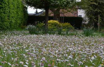 Gîte authentique près Zoo de Beauval et Châteaux - Photo 13