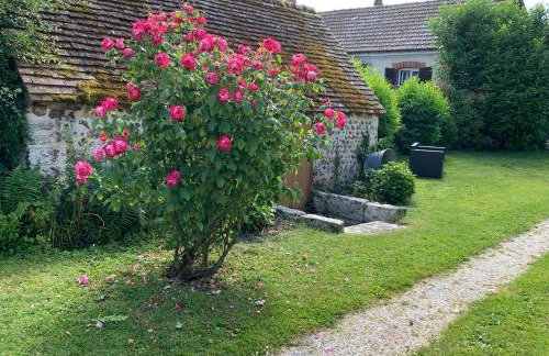 La Meunière - Foto 18