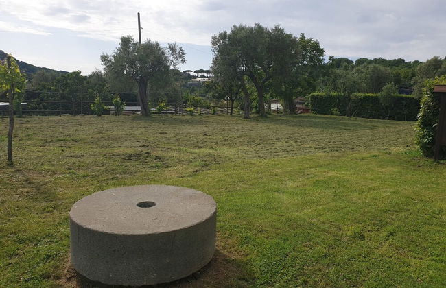 Agriturismo Piccolo Paradiso - Foto 74