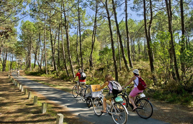 Les Oyats Sylvadoures - Foto 24