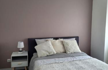 Le bel'air appartement chaleureux et calme oyonnax - Foto 4