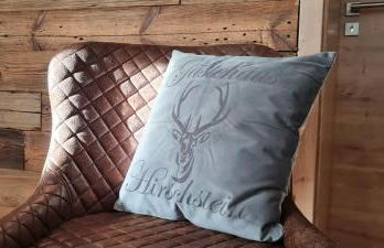 Gästehaus Hirschstein - Hochwertige Ferienwohnung in sehr ruhiger Lage direkt am Fluss Göltzsch - Foto 15