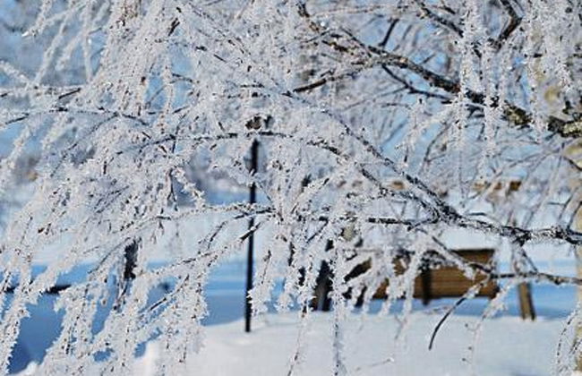 2 bedroom House in Sonkajärvi with sauna - Photo 12