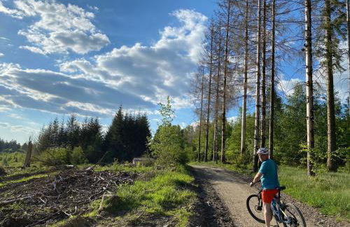 Bi Abbas Jong - Foto 16