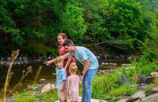 Modern Chalet With Dishwasher, in a Holiday Park, in a Natural Environment - Photo 40
