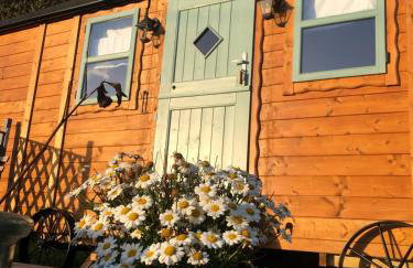 Cornwall Shepherds Hut - Hot Tub & Cosy Log Burner - Photo 10