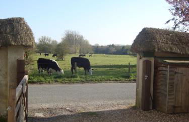 Stunning 3 bedroom 3 bath self catering cottage nr Stonehenge, Longleat, Avebury and Bath - Foto 23