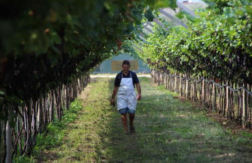 Residence La Colombera - Foto 16