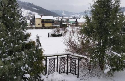 Świnna - Brzozowy Zagajnik - Foto 44