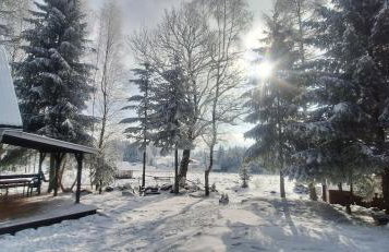 Domek Dorota z widokiem na góry Lasówka 5km do Zieleniec Ski Arena - Foto 5