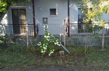 EvropisHouse 2 - Photo 15