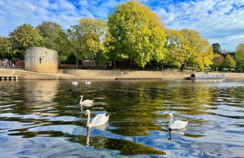 Prime York City Centre Apartment near Minster - FREE PARKING and River View - Foto 4