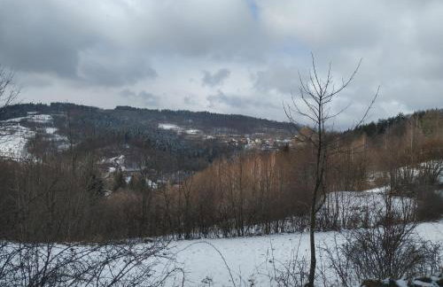 Domek w Bieńkówce - Foto 15