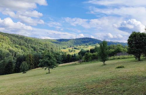 Kraina Rysia - Photo 23