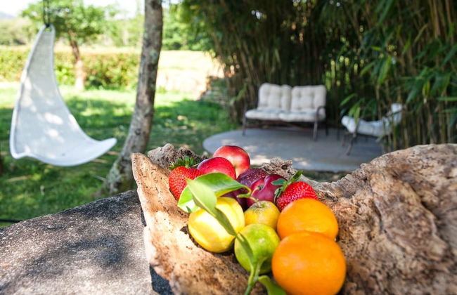 Os Lambráns - Foto 61