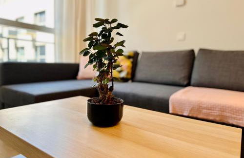 Amanecer Cálido En Marquesado - Foto 16