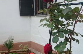 Apartment Devčić - Photo 43