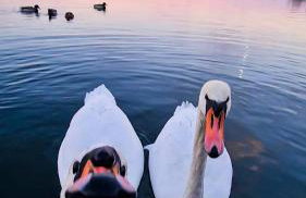 Costa del Kryspi Całoroczne Domy na Wodzie - Foto 20